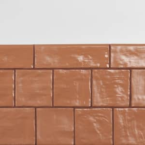 Amagansett Terracotta 2.55 in. x 7.87 in. Mixed Finish Ceramic Bullnose Trim Tile (0.14 sq. ft./each)