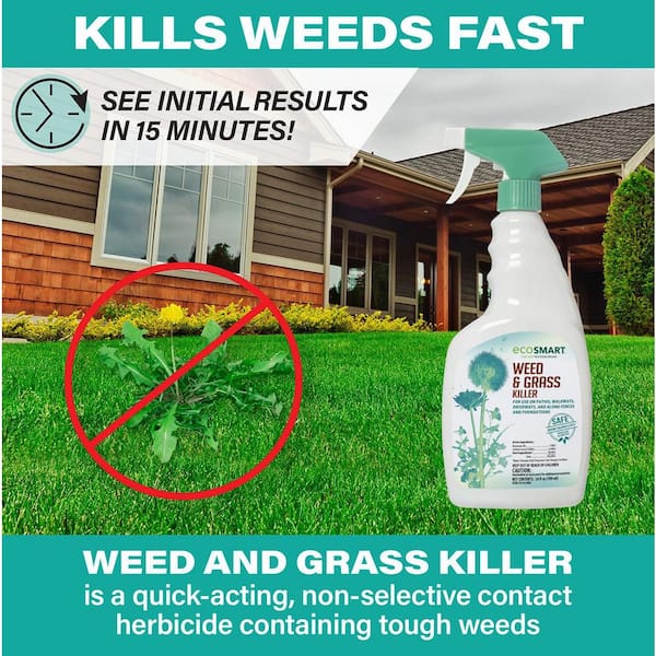 EcoSmart 24 oz. Natural, Glyphosate-Free Weed and Grass Killer with Plant  Based Rosemary Oil, Ready-to-Use Spray Bottle(2-Pack) ECSM-33629-01EC - The  Home Depot
