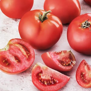 6PK Tomato - Creole