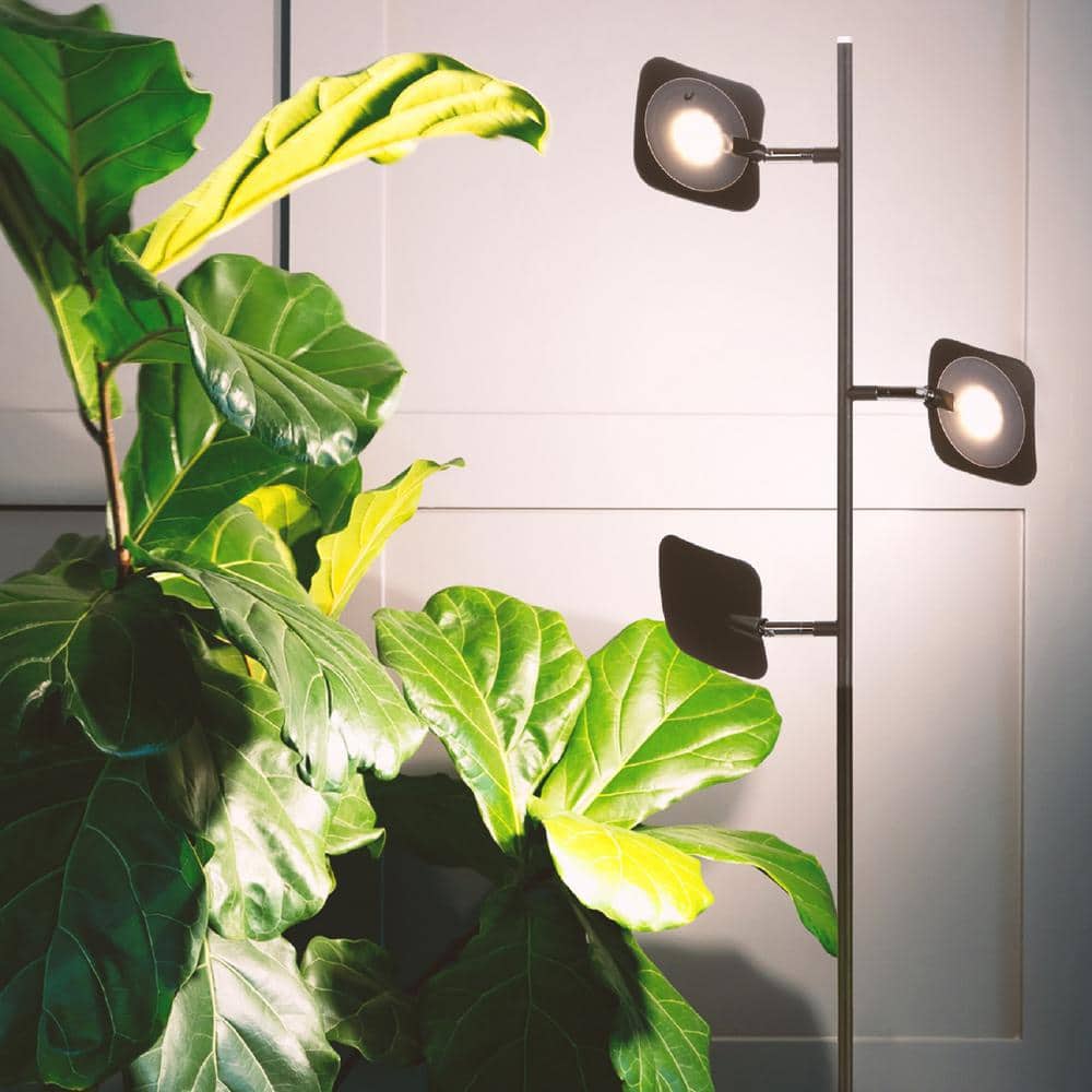 Bronze Touch-Sensitive 60" LED Floor Lamp with 3 Adjustable Heads
