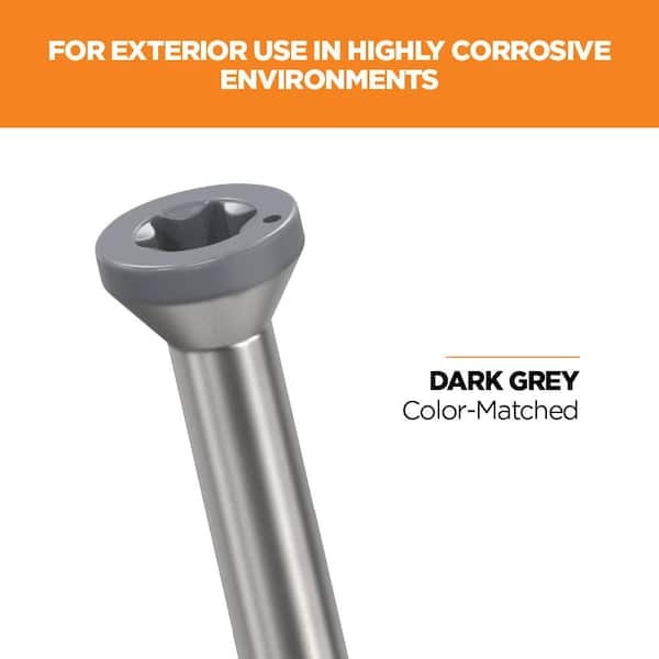 2-1/2 in. #8 316 Stainless Steel Dark Gray Premium Star Drive Trim Screws (100-Count)