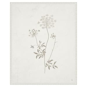 "Plants from the Meadow III" by Sarah Adams 1 Piece Floater Frame Giclee Home Canvas Art Print 28 in. x 23 in .