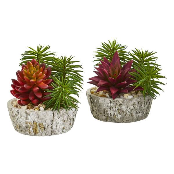 Nearly Natural Indoor Succulent Artificial Plant in Weathered Oak Planter (Set of 2)