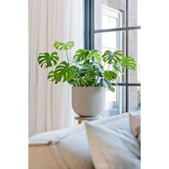 Small Light Gray Ficonstone Round Ridged Indoor Outdoor Planter