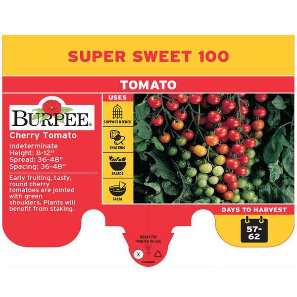 Burpee 6 in. Sweet 100-Tomato Fruit Plant 1008725761 - The Home Depot