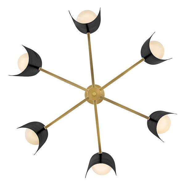 ⚠️ゆっきー⚠️「Chandelier」Novelbright LARK Zuri 6-Light Lacquered Brass Chandelier 84236LCB-BK - The