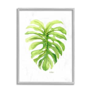 "Monstera Leaf Tropical Plant Over White" by Melissa Hyatt LLC Framed Nature Wall Art Print 11 in. x 14 in.