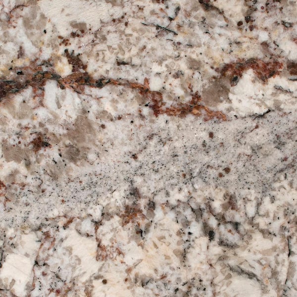 STONEMARK 3 in. x 3 in. Granite Countertop Sample in Saddle White