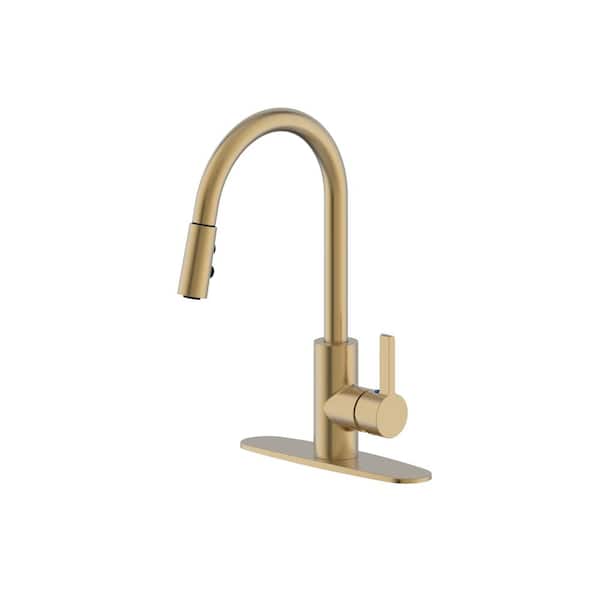 Runfine Single-Handle Pull-Down Sprayer Standard Kitchen Faucet with Spray Options in Matte Gold