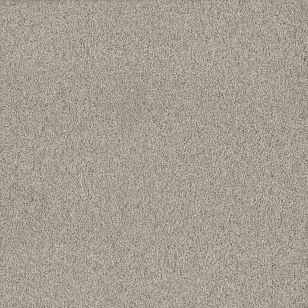 8 in. x 8 in. Texture Carpet Sample-Meringue I-Color Glossy price history on PriceWatchPro
