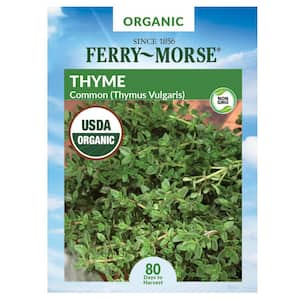 Organic Thyme Herb Seed