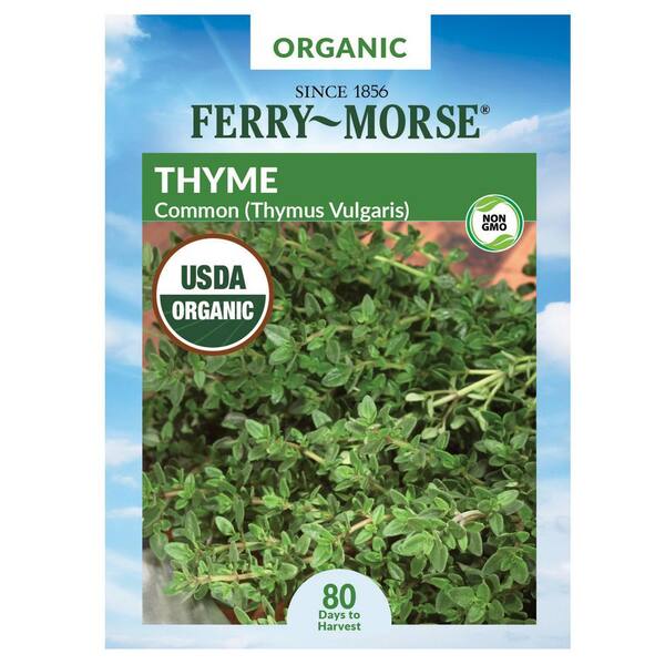 Ferry-Morse Thyme Organic Seed
