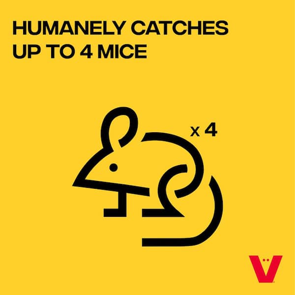 Catch and kill mice catch without having to see or touch them
