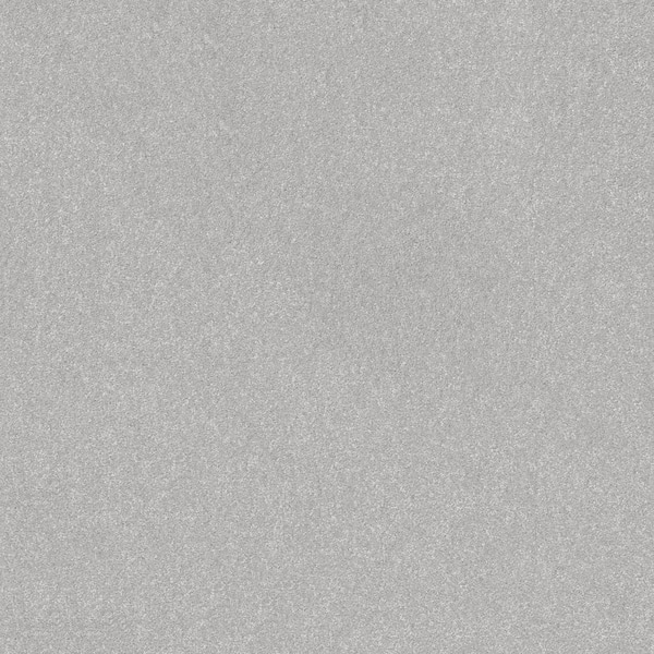 Home Decorators Collection House Party I - Glacier - Gray 37.4 oz. Polyester Texture Installed Carpet