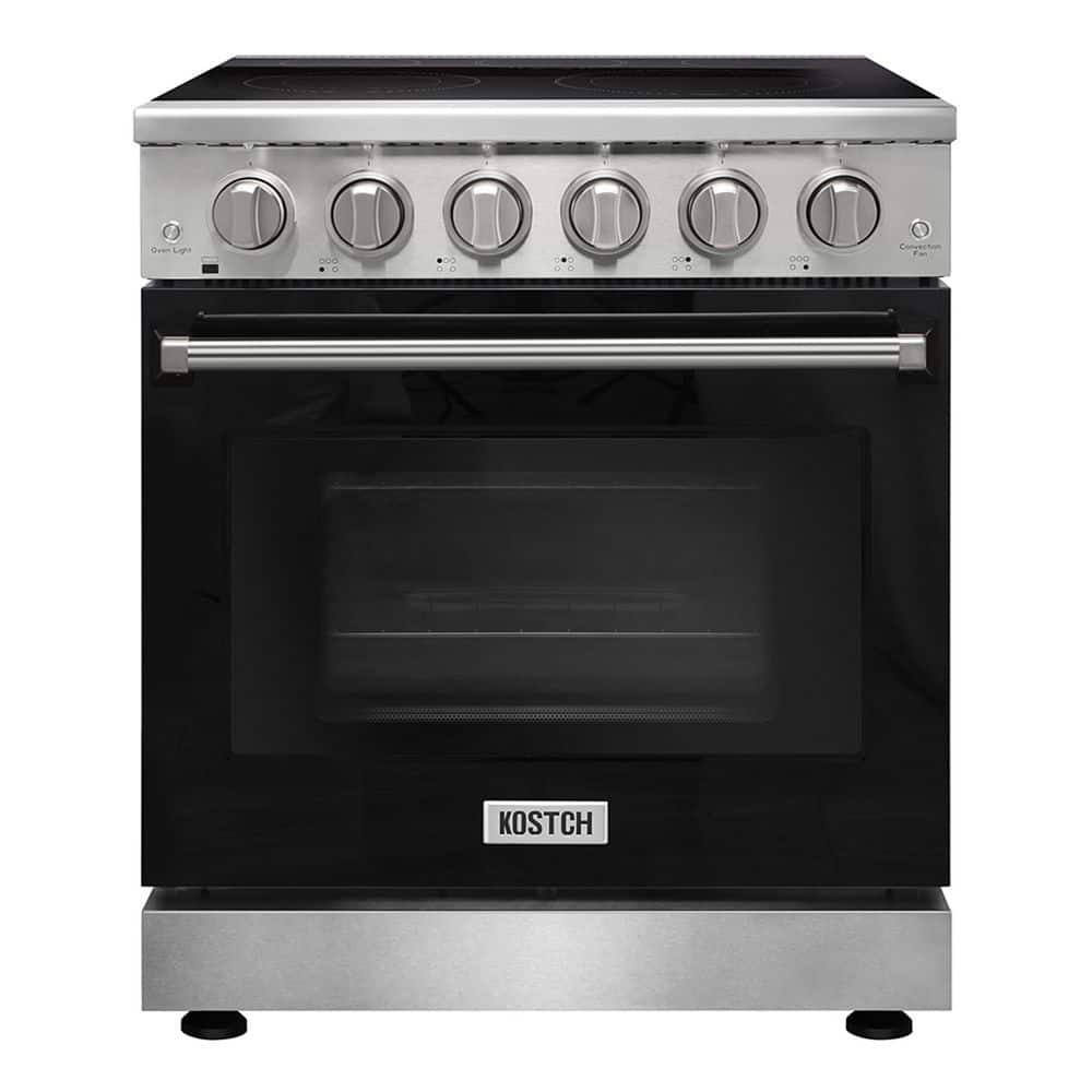 30 in. 5 Elements Freestanding Electric Range in Stainless Steel with 4.55 cu. ft. True Convection and Black Oven Door price history on PriceWatchPro