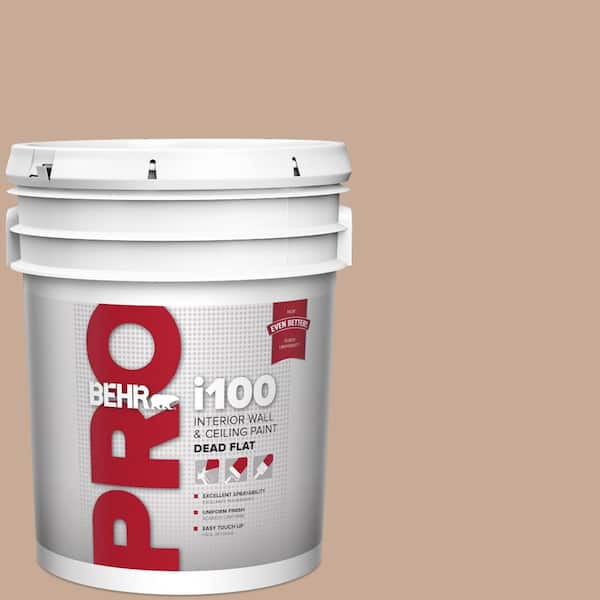5 gal. #S220-3 Sanderling Dead Flat Interior Paint