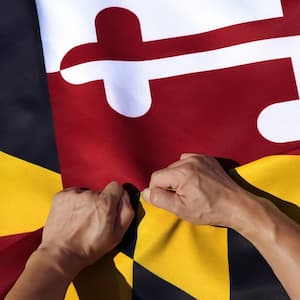 3 ft. x 5 ft. Polyester Rip-Proof Technology Double-Sided 3-Ply Maryland State Flag