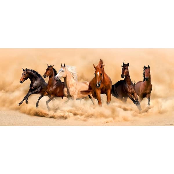 Dundee Deco Horse Herd Galloping in Desert Non-Woven Wall Mural ...