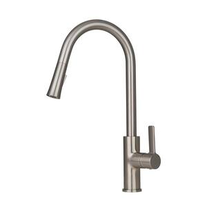 Aria Single Handle Pull Down Sprayer Kitchen Faucet in Brushed Nickel