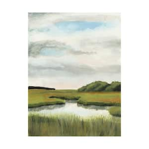 Naomi Mccavitt Marsh Landscapes Ii Canvas Unframed Photography Wall Art 24 in. x 32 in