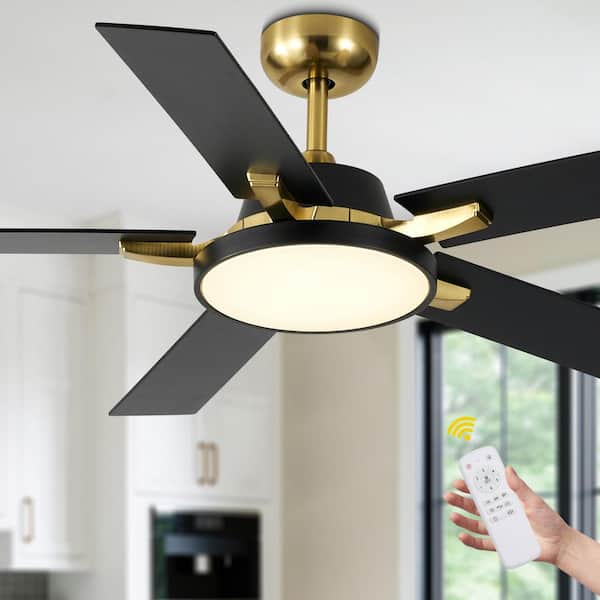 Koyah 52 in. Gold Reversible Caged Ceiling Fan with Dimmable Light and Remote