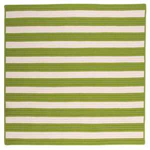Baxter Lime 4 ft. x 4 ft. Square Braided Indoor/Outdoor Area Rug