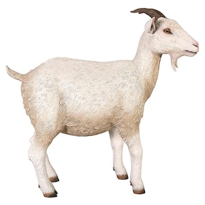 31.5 in. H Billy Goat Statue