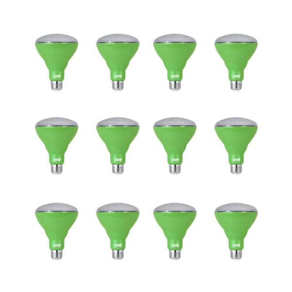 Feit Electric 9-Watt BR30 Medium E26 Non-Dimmable Indoor and Greenhouse Full Spectrum Plant Grow LED Light Bulb (12-Pack)