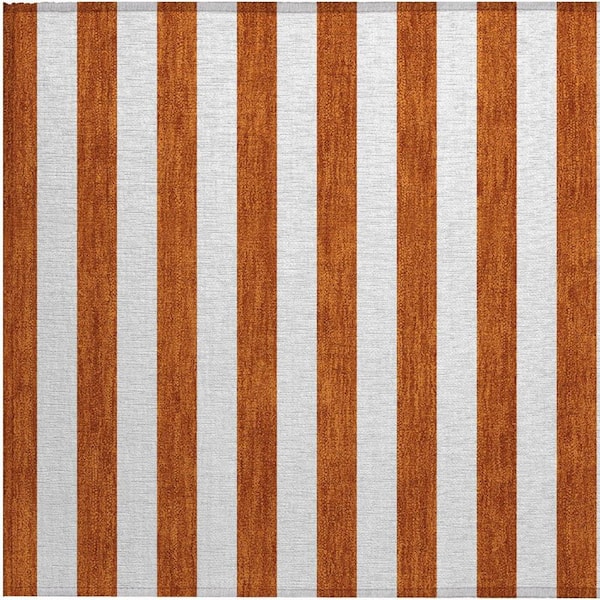 Orange 2 ft. x 3 ft. Woven Striped Polyester Rectangle Indoor/Outdoor Area Rug