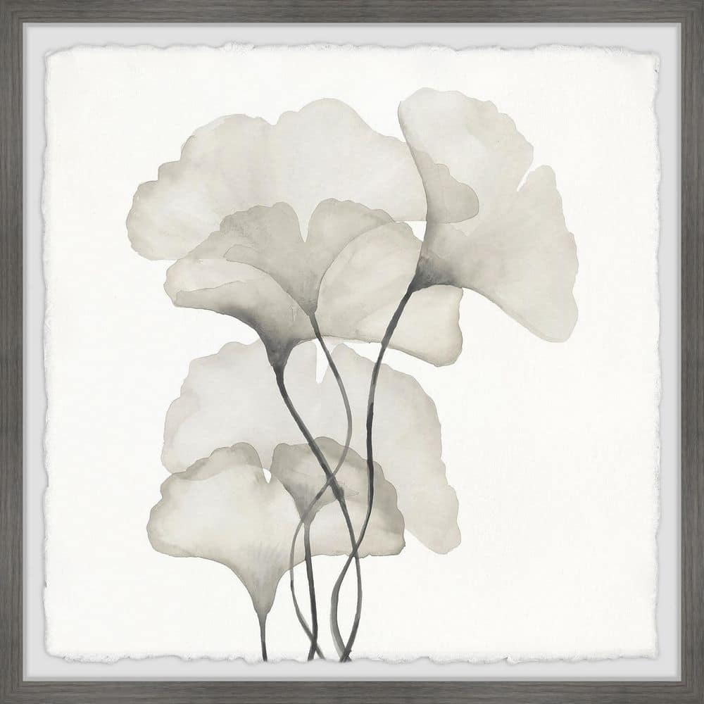 Ginkgo Biloba Leaves by Marmont Hill Framed Nature Art Print 32 in. x 32 in