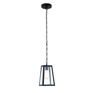 Serendipity 1-Light Matte Black/Clear Pendant with Glass Shade