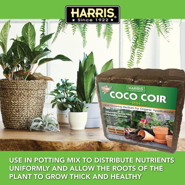 Coir Growing Medium Coco Potting Soil Block 2 Pack