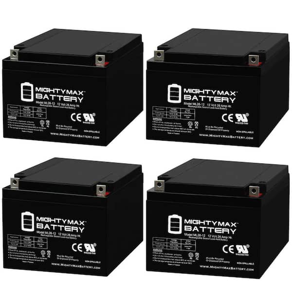 MIGHTY MAX BATTERY 12-Volt 100 Ah Rechargeable Sealed Lead Acid (SLA)  Battery ML100-12 - The Home Depot