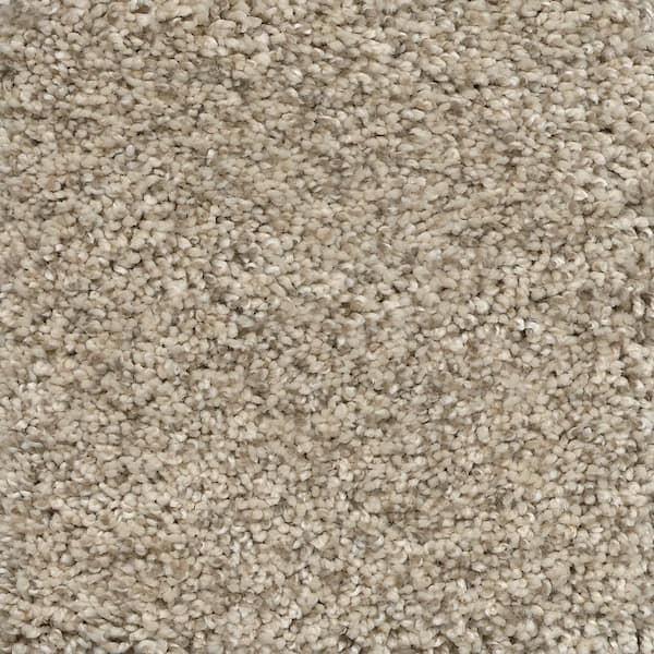 TrafficMaster 8 in. x  8 in. Texture Carpet Sample - Nimble Creek -Color Lodge