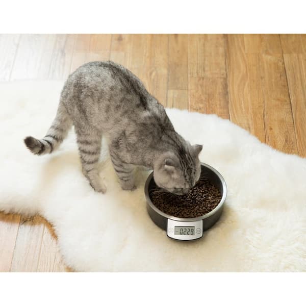 Automatic Self Dispensing Gravity Pet Feeder and Waterer for Cats and Dogs  QI003699.P - The Home Depot