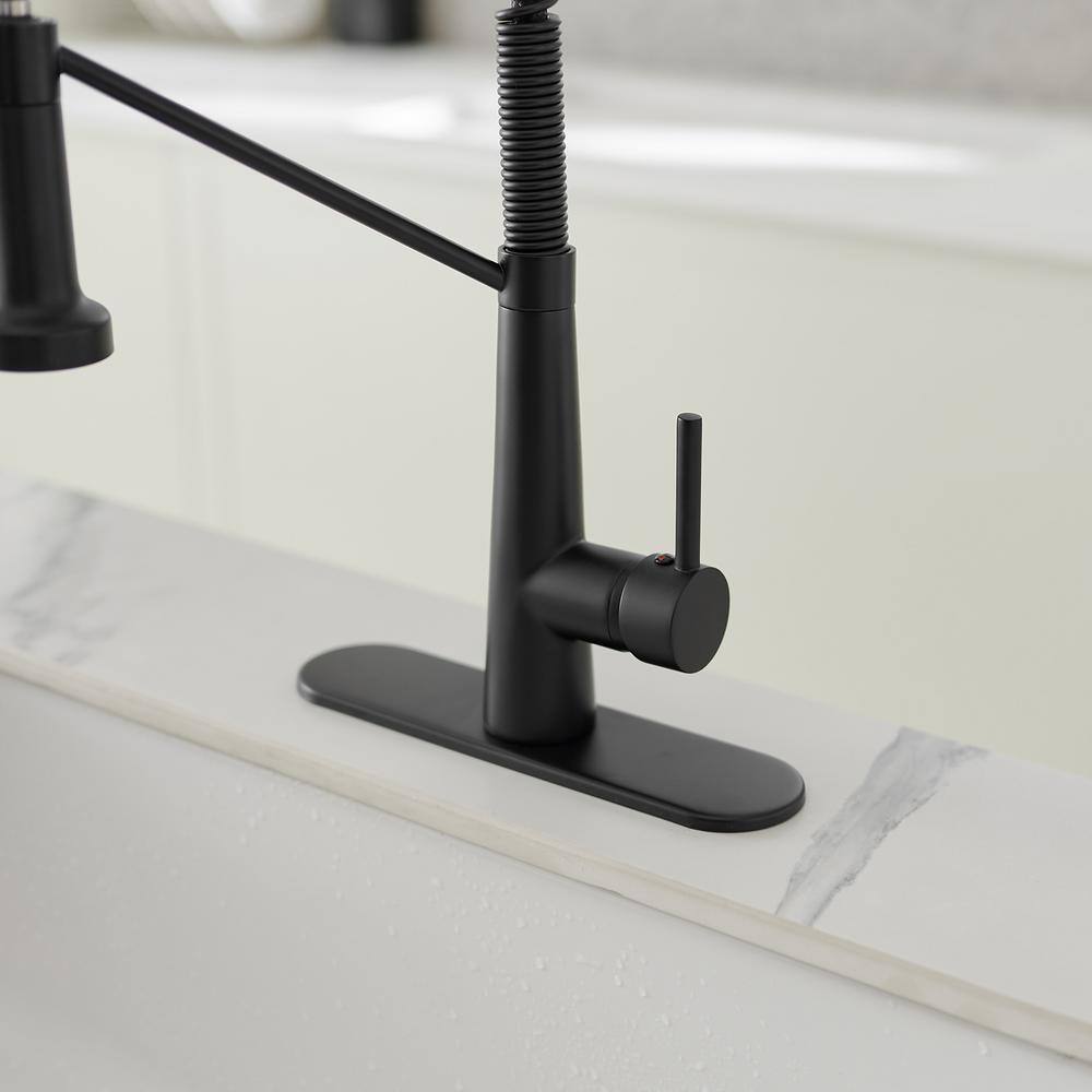 Matte Black Single-Handle Pull-Down Sprayer High Arc Kitchen Faucet