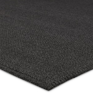 Ryker 9 ft. x 12 ft. Charcoal Solid Handmade Indoor/Outdoor Area Rug