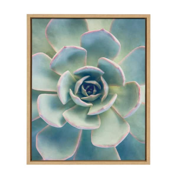 Kate and Laurel Sylvie "Succulent 7" by F2 Images Framed Canvas Wall Art