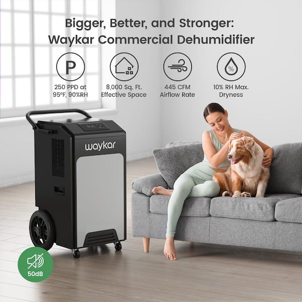 250 pt. 8,000 sq. ft. Bucketless Commercial Dehumidifier in Black