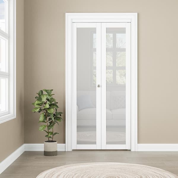 ARK DESIGN 30 in. x 80 in. 1-Lite Glass Frosted Glass and Solid