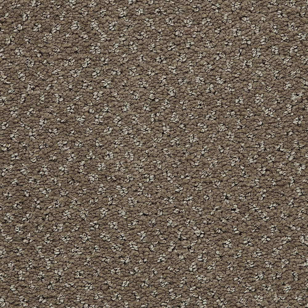 8 in. x 8 in. Pattern Carpet Sample - Pretty Penny -Color Cascade price history on PriceWatchPro