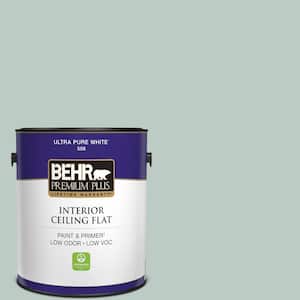 1 gal. #HDC-CL-23 Soothing Spring Ceiling Flat Interior Paint