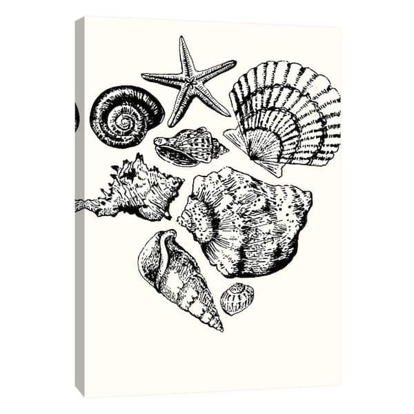 PTM Images 12 in. x 10 in. ''Shells 1'' Printed Canvas Wall Art