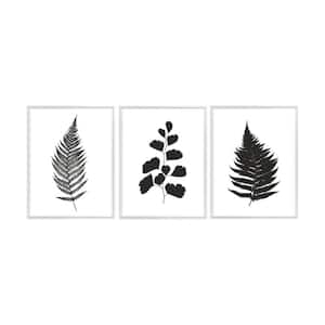 Botanical Ferns Framed Canvas Wall Art - 24 in. x 32 in. Each, by Kelly Merkur 3-Piece Set White Frames