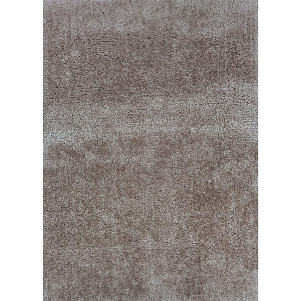 Clinton Hill Shag Barclay 5 ft. x 8 ft. Area Rug