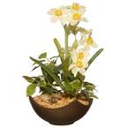 9 in. Potted Narcissus Plant
