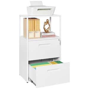 41.3 in. H x 23.6 in. W x 15.7 in. D Garage Cabinet, 2 Tier Metal File Cabinet with Shelves, 2 Lockable Drawers in White