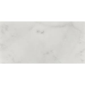 Carrara White 3 in. x 6 in. Honed Floor and Wall Marble Tile (1 sq. ft./case)