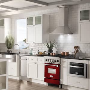 24" 2.8 cu. ft. Dual Fuel Range with Gas Stove and Electric Oven in Stainless Steel and Red Gloss Door
