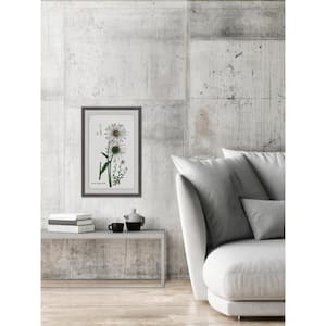 24 in. H x 16 in. W "White Daisy III" by Marmont Hill Framed Printed Wall Art